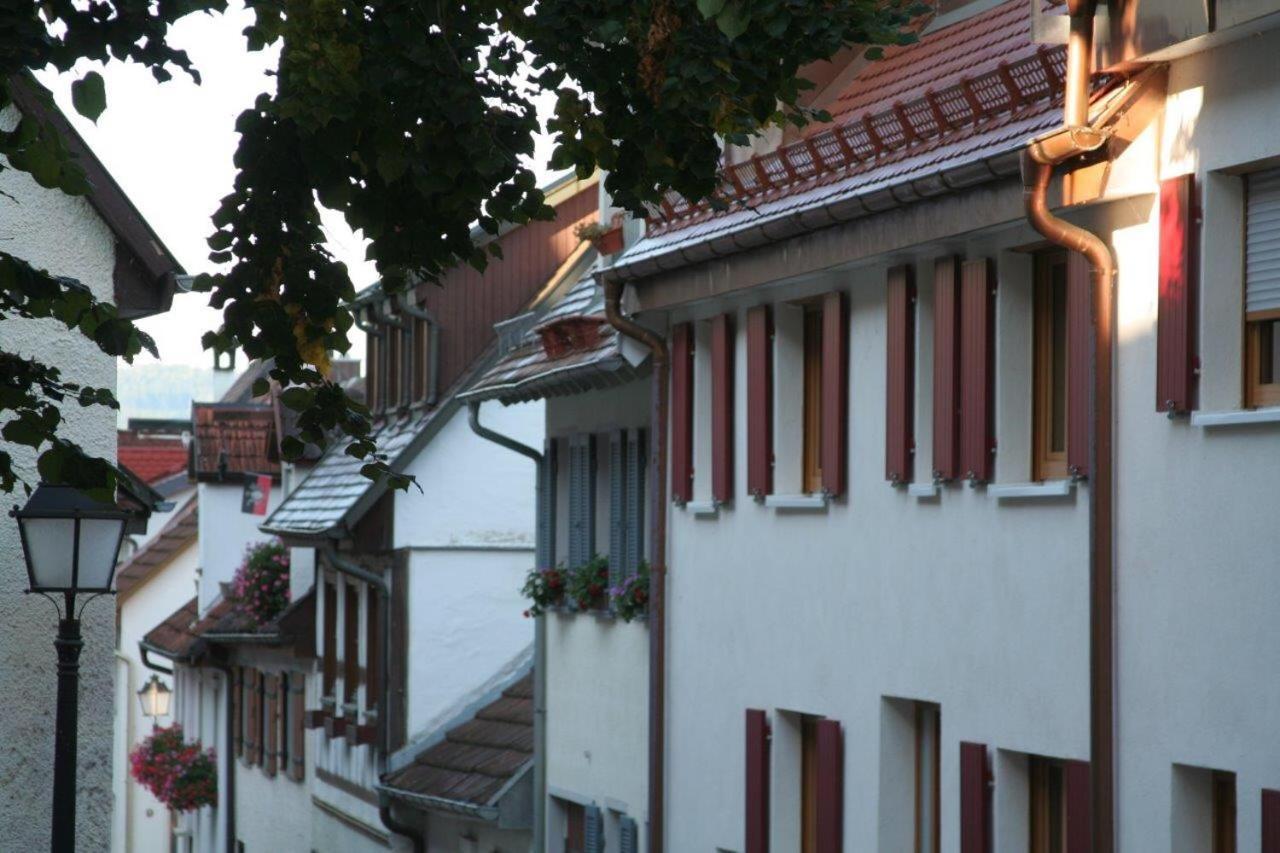 Hotel Gaestehaus Theresia Garni Muhlheim an der Donau Εξωτερικό φωτογραφία