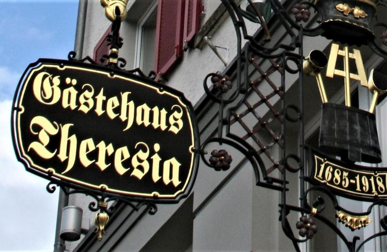 Hotel Gaestehaus Theresia Garni Muhlheim an der Donau Εξωτερικό φωτογραφία