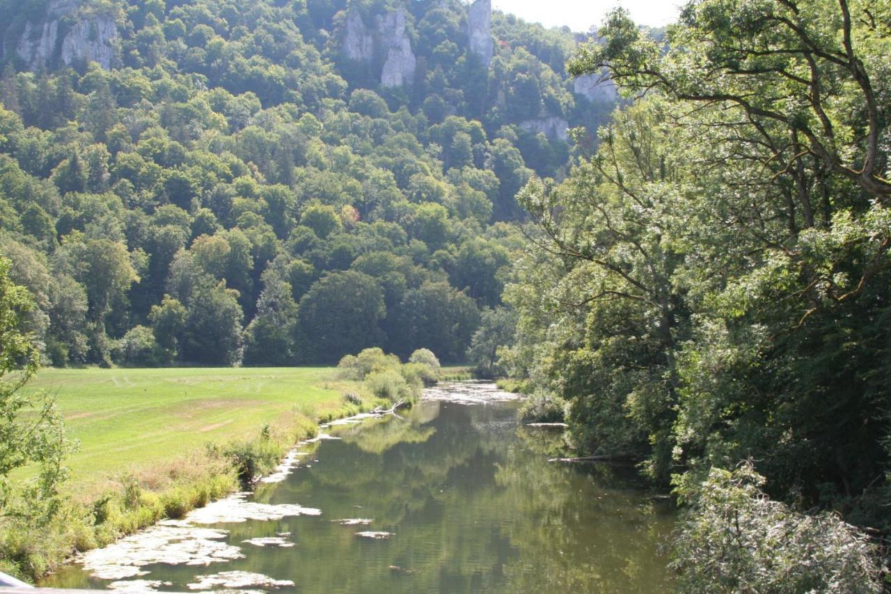 Hotel Gaestehaus Theresia Garni Muhlheim an der Donau Εξωτερικό φωτογραφία