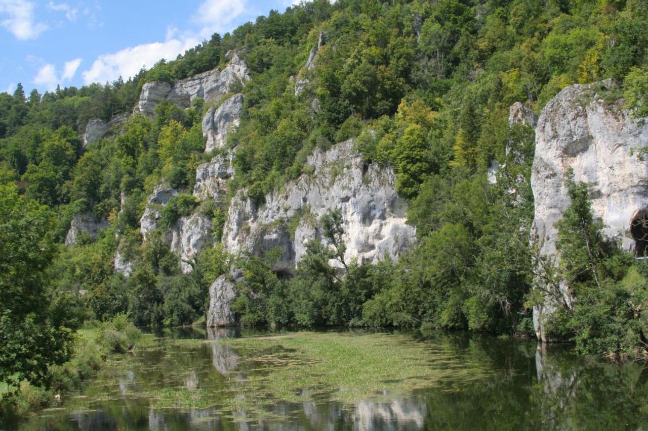 Hotel Gaestehaus Theresia Garni Muhlheim an der Donau Εξωτερικό φωτογραφία